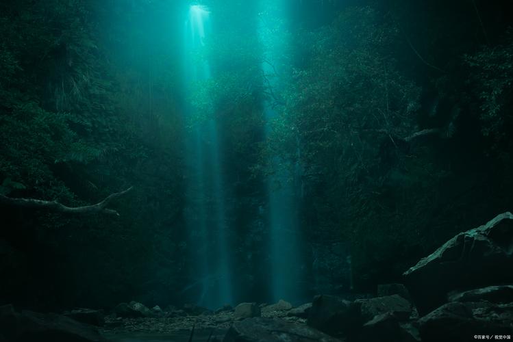 妻子的出轨_妻子的出轨_妻子的出轨