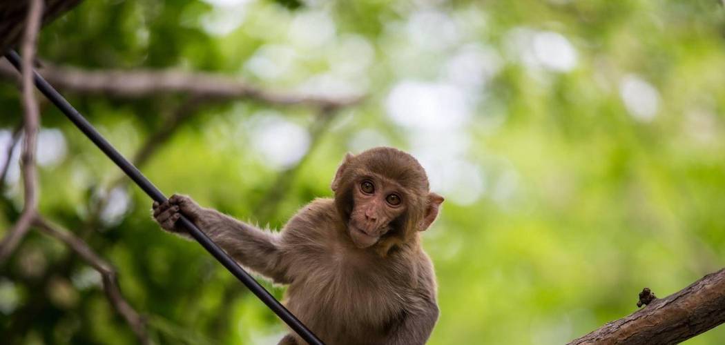 女人对婚外情_女人对婚外情_婚外情女人一般多久会腻