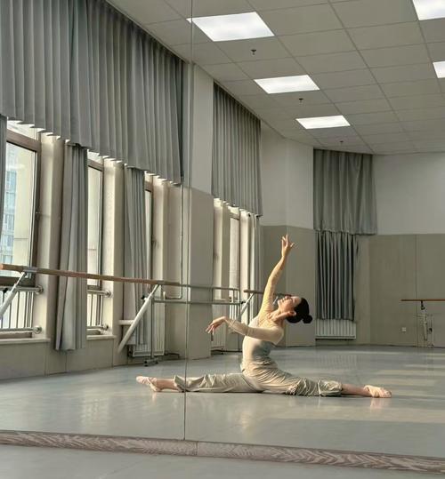 情感的形态_情感形式哲学视频_情感与形式